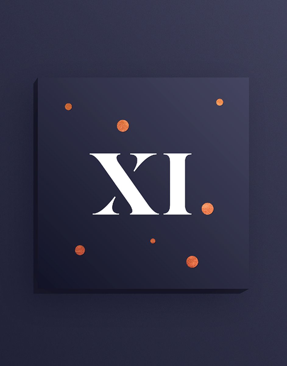 The Brief and the Challenge