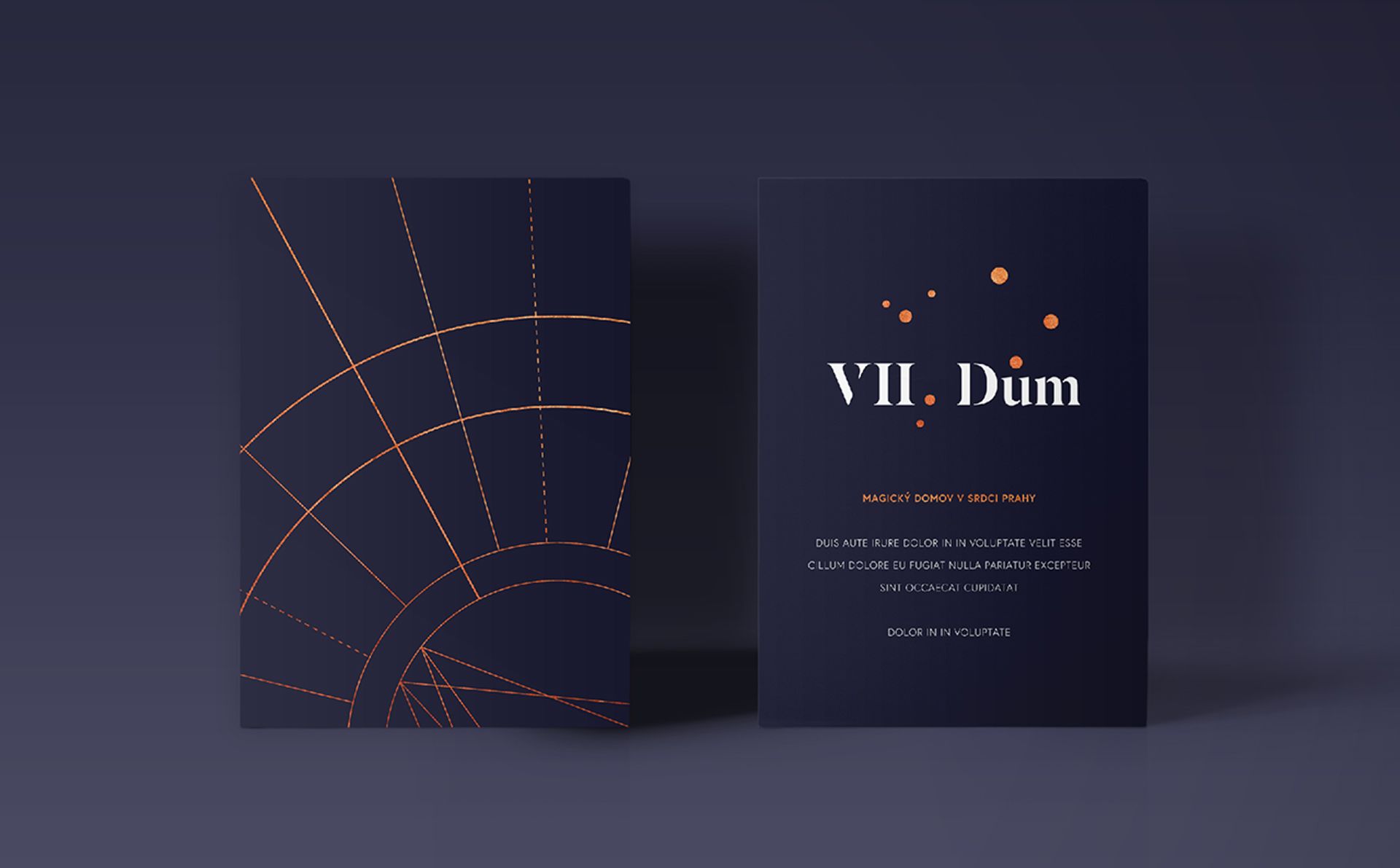 The Solution and Process